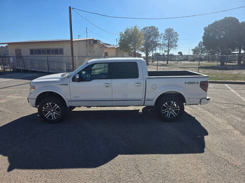 2013 Ford F-150 Platinum