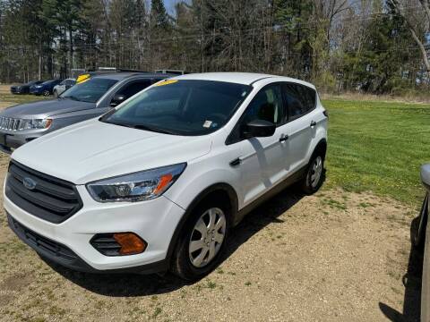 2017 Ford Escape for sale at Hillside Motor Sales in Coldwater MI
