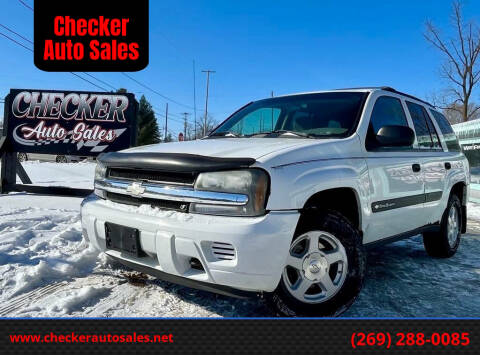 2003 Chevrolet TrailBlazer for sale at Checker Auto Sales in Augusta MI