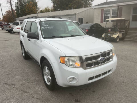 2011 Ford Escape XLT