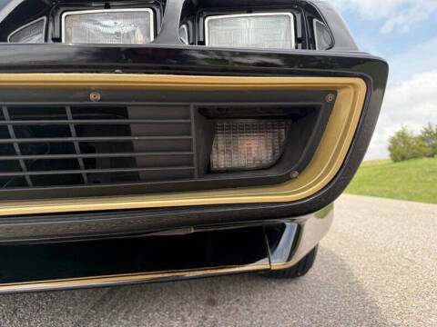 1981 Pontiac Firebird Trans Am
