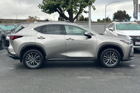 2025 Lexus NX 350h Premium