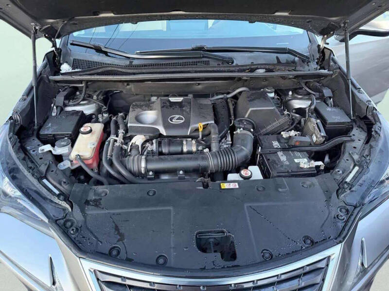 2019 Lexus NX 300 F SPORT