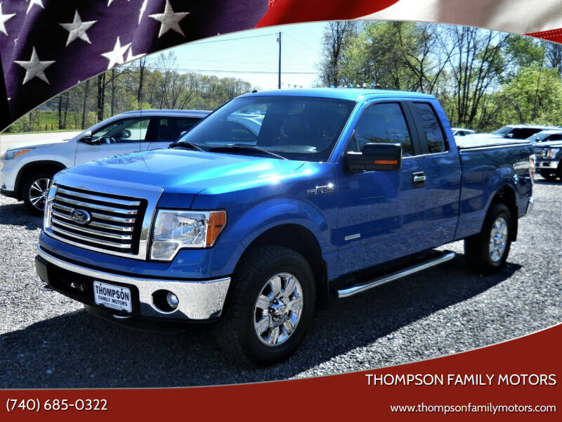 2011 Ford F-150 for sale at THOMPSON FAMILY MOTORS in Senecaville OH