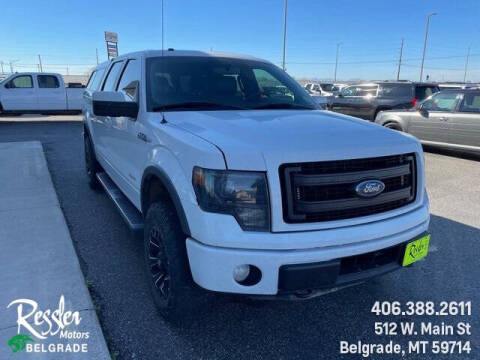 2014 Ford F-150 for sale at Danhof Motors in Manhattan MT