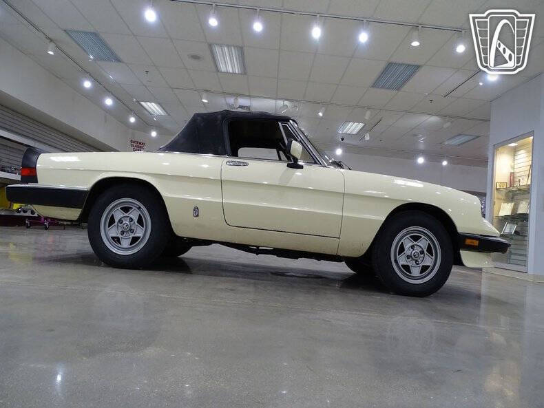 1984 Alfa Romeo Spider Veloce