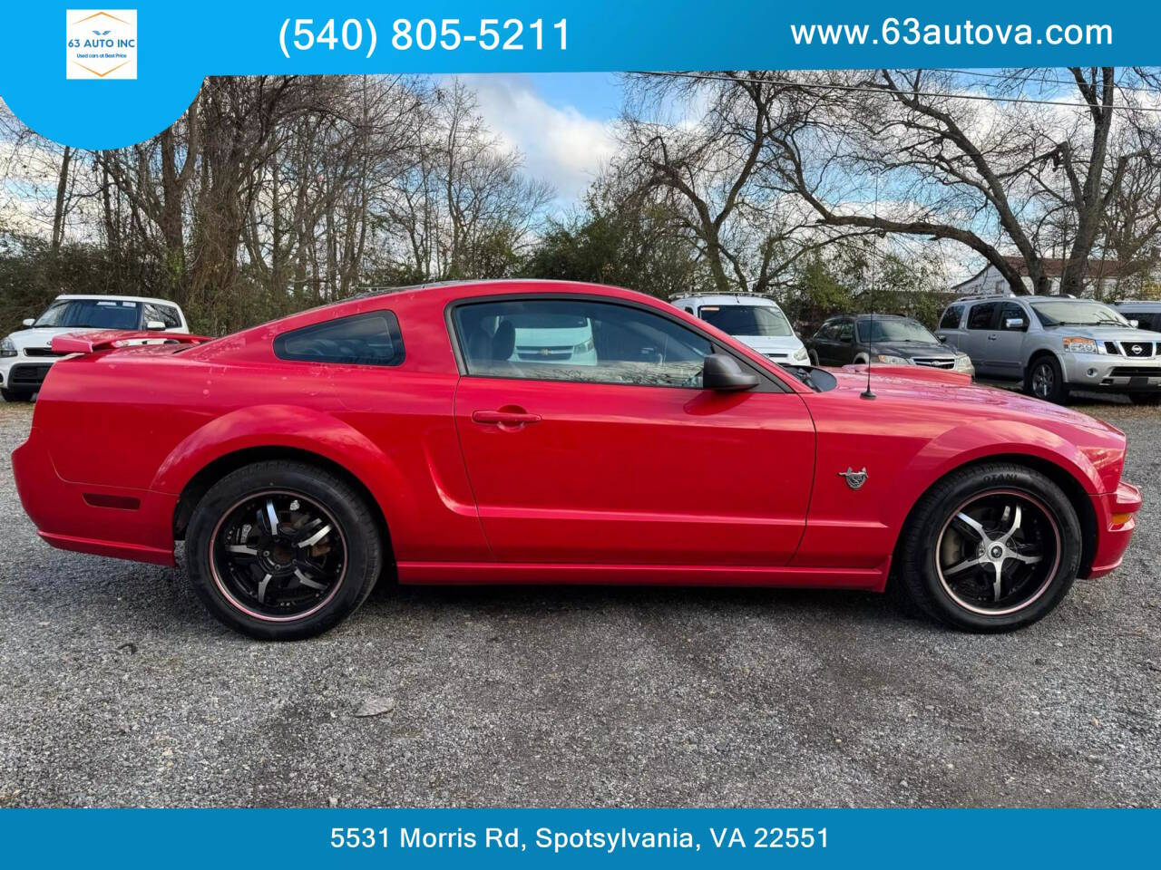 2009 Ford Mustang GT Premium photo 11