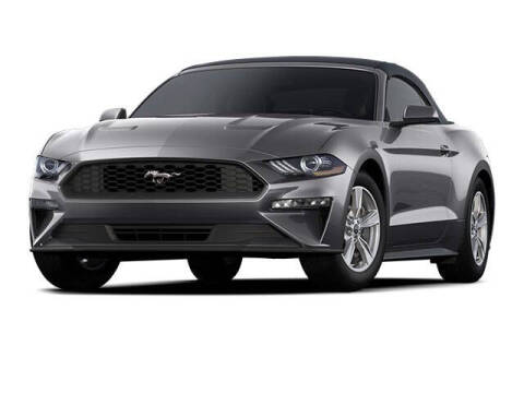 2023 Ford Mustang for sale at Tim Short Chrysler Dodge Jeep RAM Ford of Morehead in Morehead KY