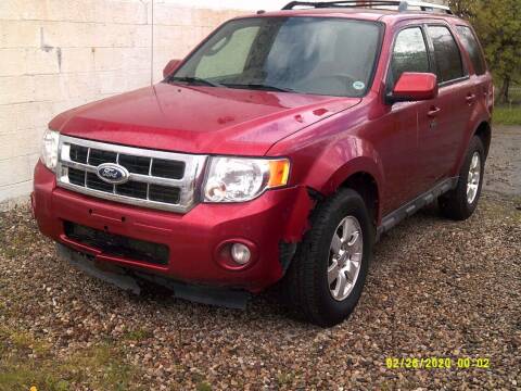 2012 Ford Escape for sale at DONNIE ROCKET USED CARS in Detroit MI