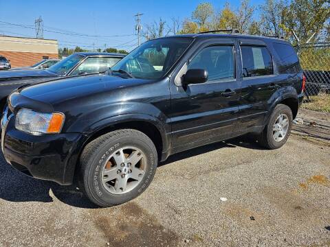 2003 Ford Escape for sale at RIDE NOW AUTO SALES INC in Medina OH
