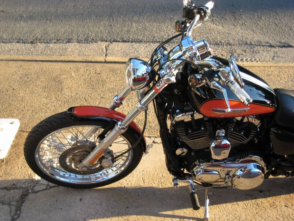 2009 Harley-Davidson Sportster 1200 Custom for sale at Auto Link Inc in Hamilton, VA