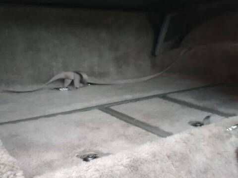 1979 Chevrolet Corvette