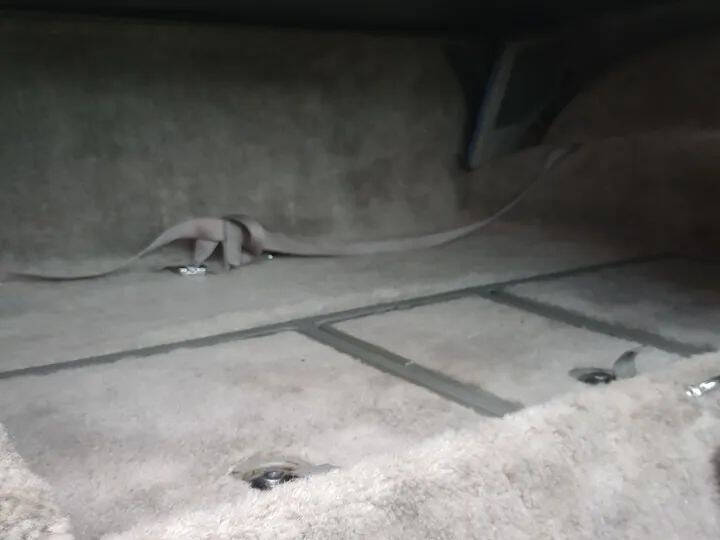 1979 Chevrolet Corvette