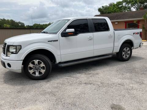 2010 Ford F-150 for sale at Auto Liquidators of Tampa in Tampa FL