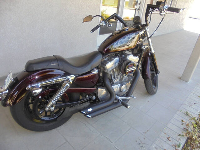 2006 Harley-Davidson XL 883 Sportster for sale at DYNAMIC CARS & TRUCKS in Republic, MO