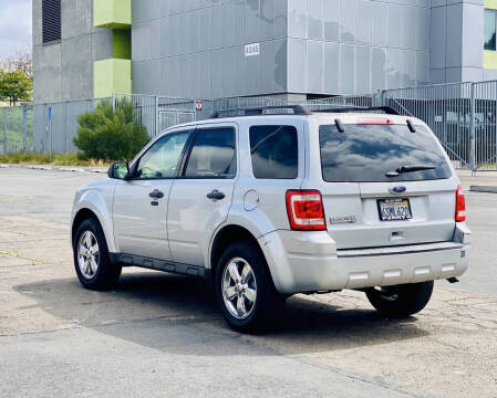 2011 Ford Escape XLT