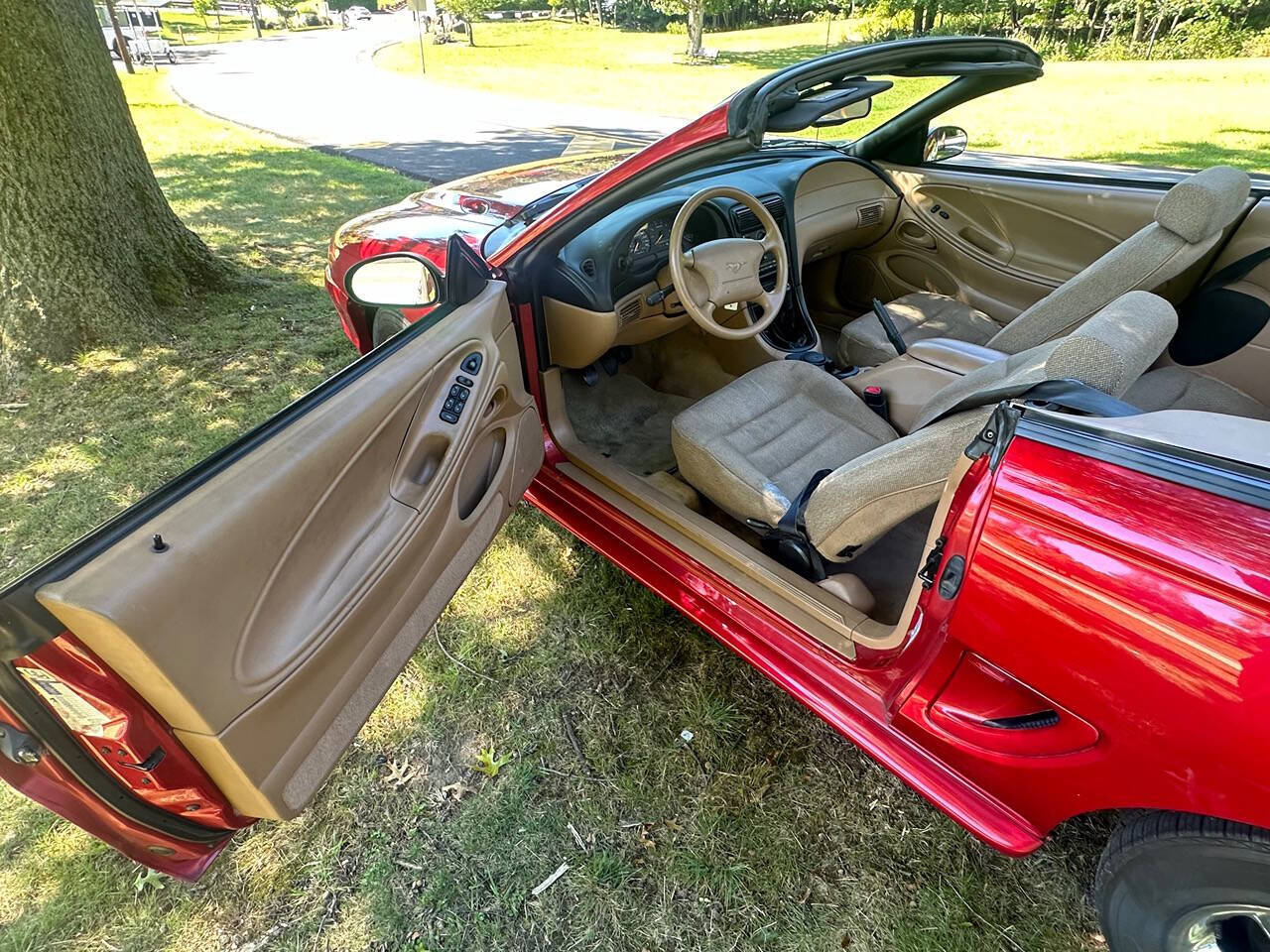 1998 Ford Mustang for sale at Froggy Cars LLC in Hamburg, NJ