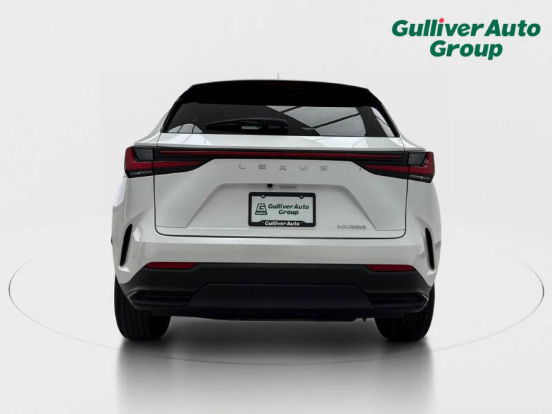 2024 Lexus NX 250