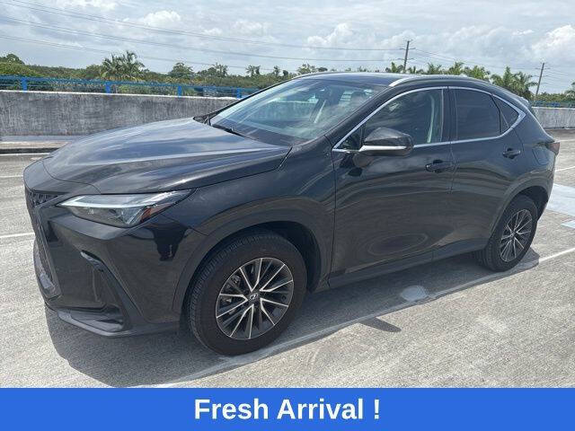 2024 Lexus NX 250