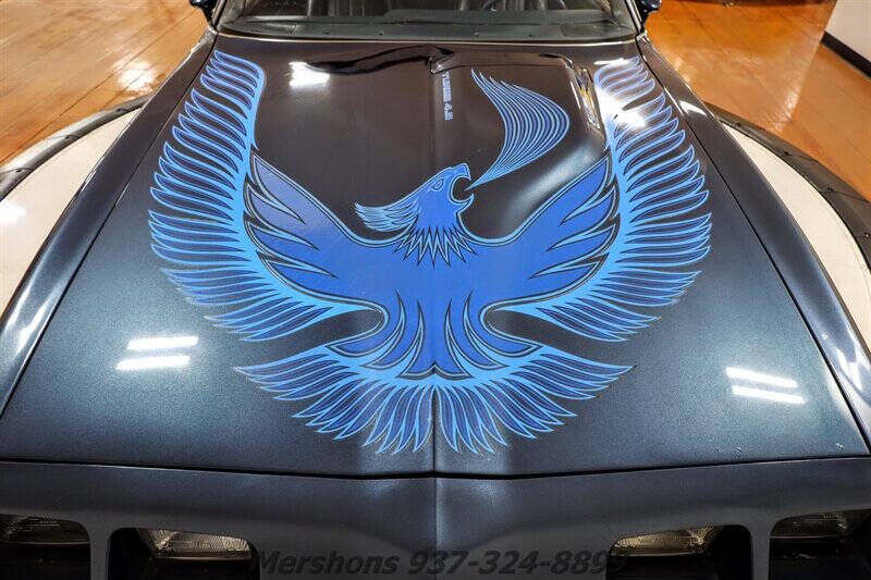 1981 Pontiac Firebird Trans Am