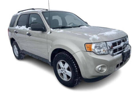 2010 Ford Escape XLT