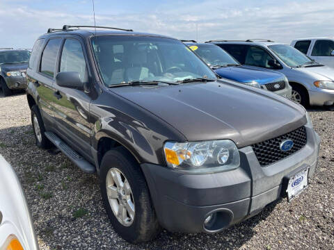 2006 Ford Escape for sale at Alan Browne Chevy in Genoa IL