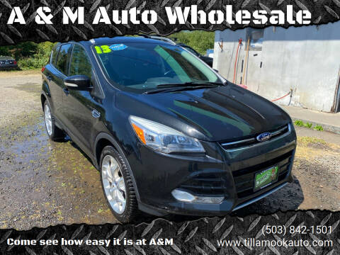 2013 Ford Escape for sale at A & M Auto Wholesale in Tillamook OR