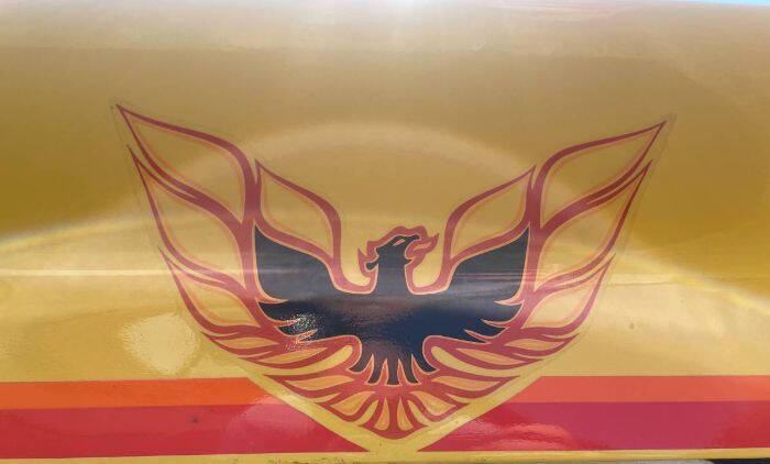 1978 Pontiac Firebird