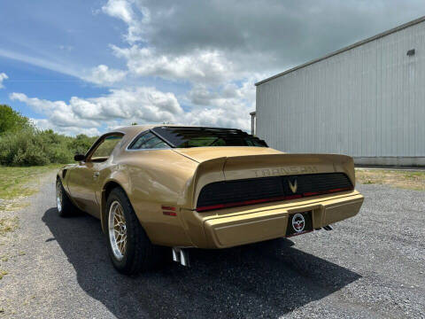 1979 Pontiac Firebird Trans Am