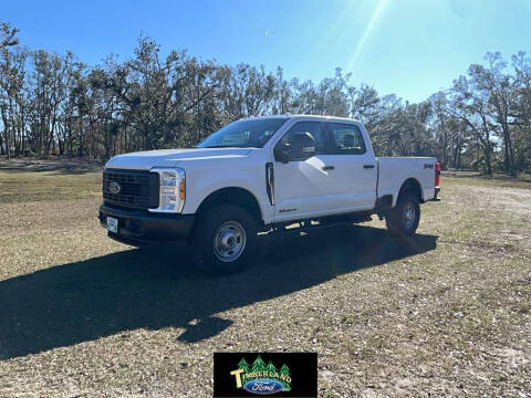 2025 Ford F-350 Super Duty for sale at TIMBERLAND FORD in Perry FL