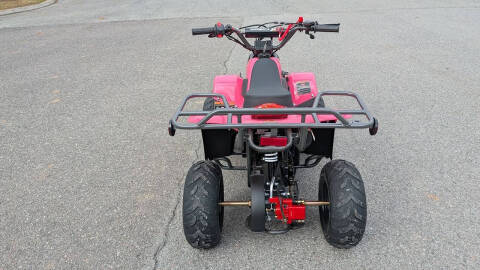 2024 TrailMaster Mini 110 Sport