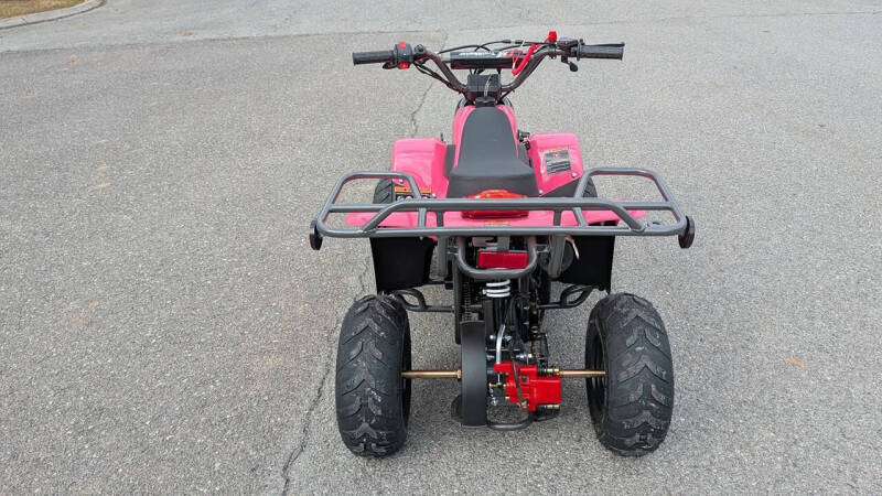 2024 TrailMaster Mini 110 Sport