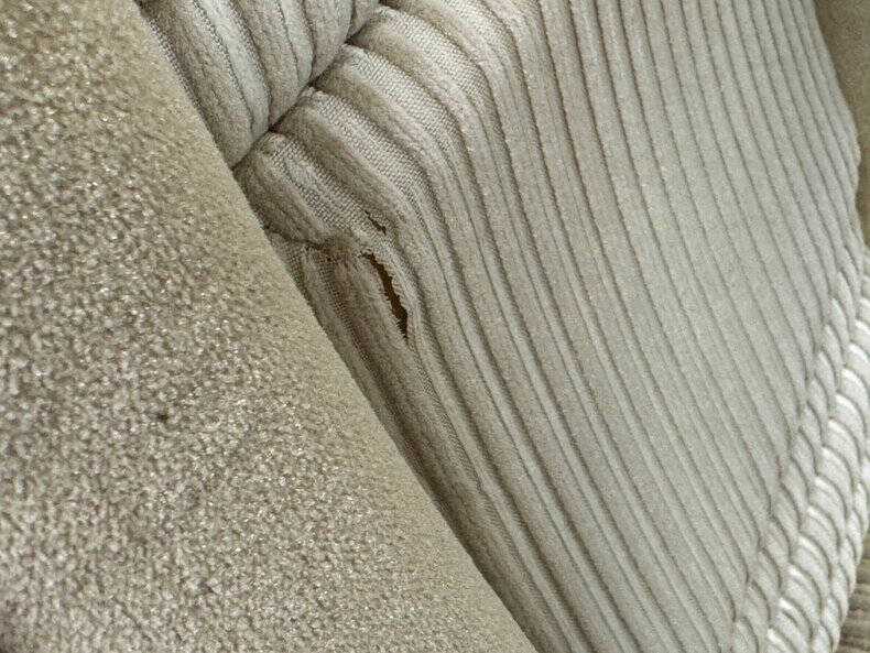 1981 Pontiac Firebird Trans Am