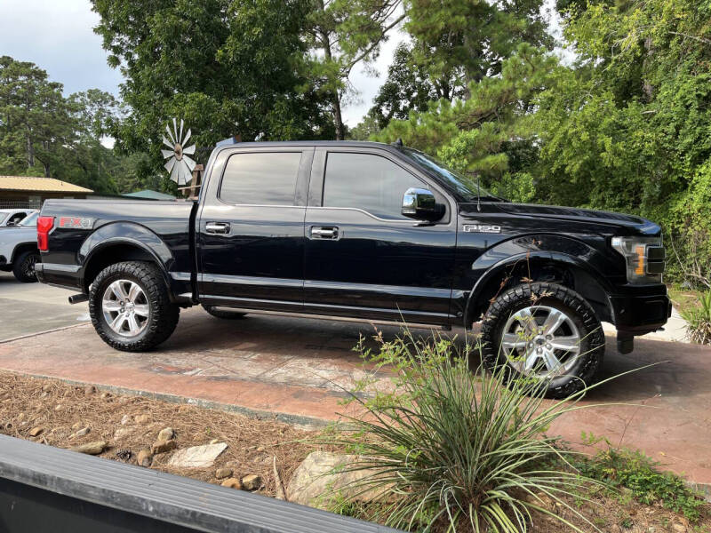 2020 Ford F-150 Platinum's photo