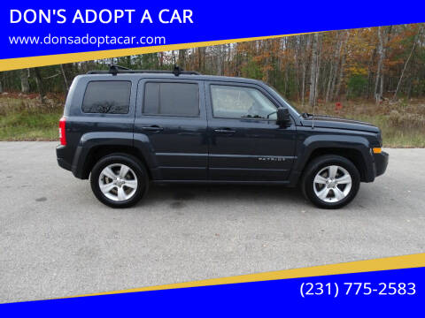 2014 Jeep Patriot for sale at DON'S ADOPT A CAR in Cadillac MI