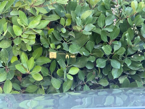 2022 BMW 5 Series 530i