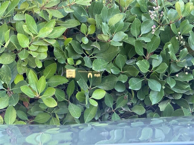 2022 BMW 5 Series 530i