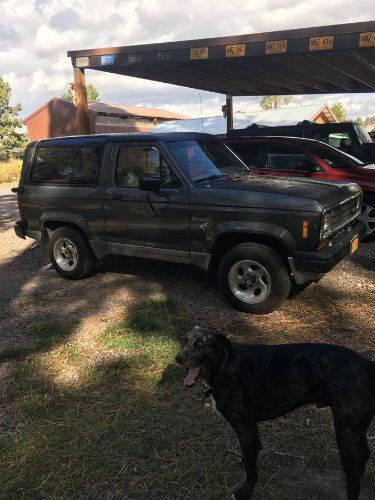 1985 Ford Bronco