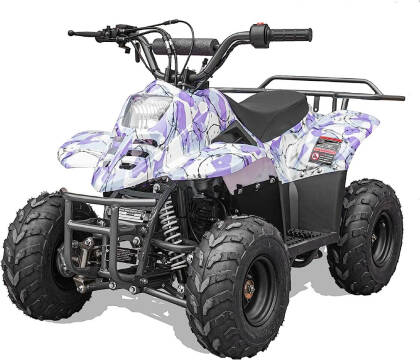 2022 Mountopz 110cc for sale at A C Auto Sales in Elkton MD