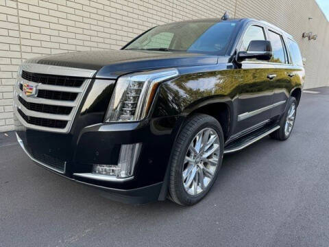 2020 Cadillac Escalade for sale at World Class Motors LLC in Noblesville IN