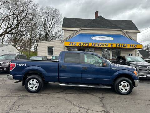 2009 Ford F-150 for sale at EEE AUTO SERVICES AND SALES LLC in Cincinnati OH