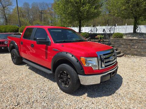 2009 Ford F-150 for sale at EAST PENN AUTO SALES in Pen Argyl PA