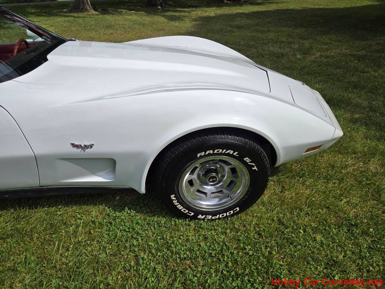 1979 Chevrolet Corvette 19