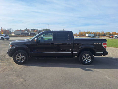 2013 Ford F-150 for sale at Steve Winnie Auto Sales in Edmore MI