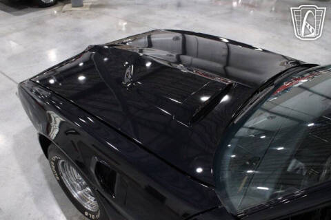 1981 Pontiac Firebird Trans Am