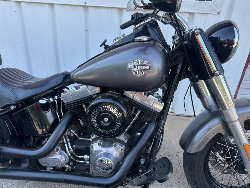 2014 Harley-Davidson FLS103 -