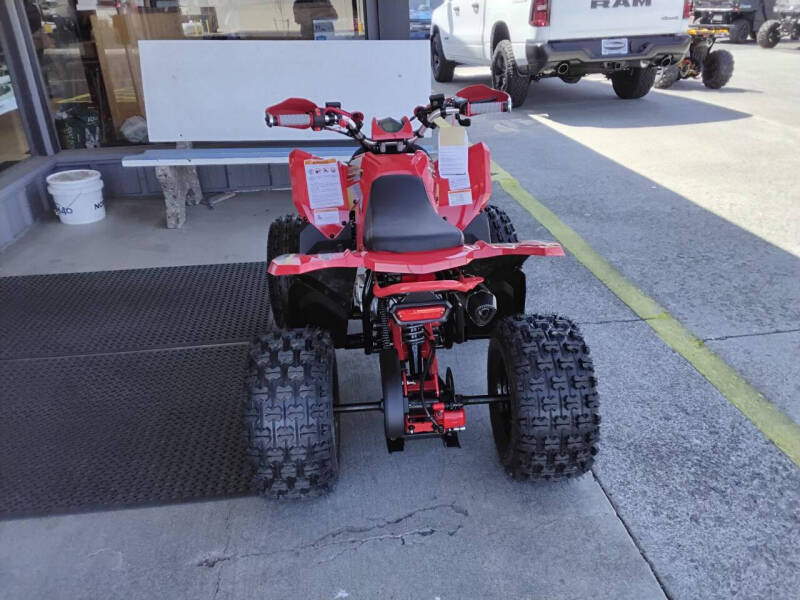 2025 Denago Trailhawk 10Fi ATV