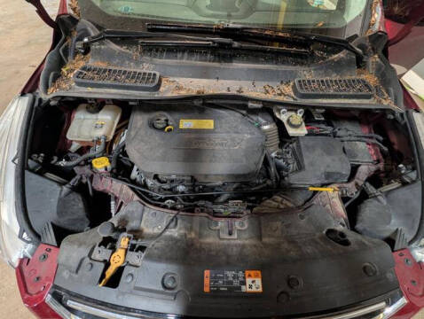 2013 Ford Escape SEL
