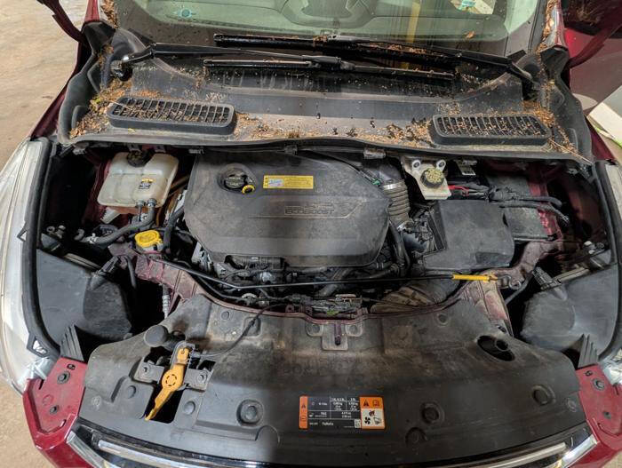 2013 Ford Escape SEL