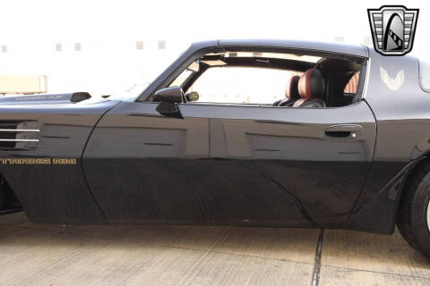 1981 Pontiac Firebird Trans Am